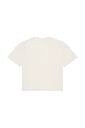 PS_NS313-B-2_IVORY.webp