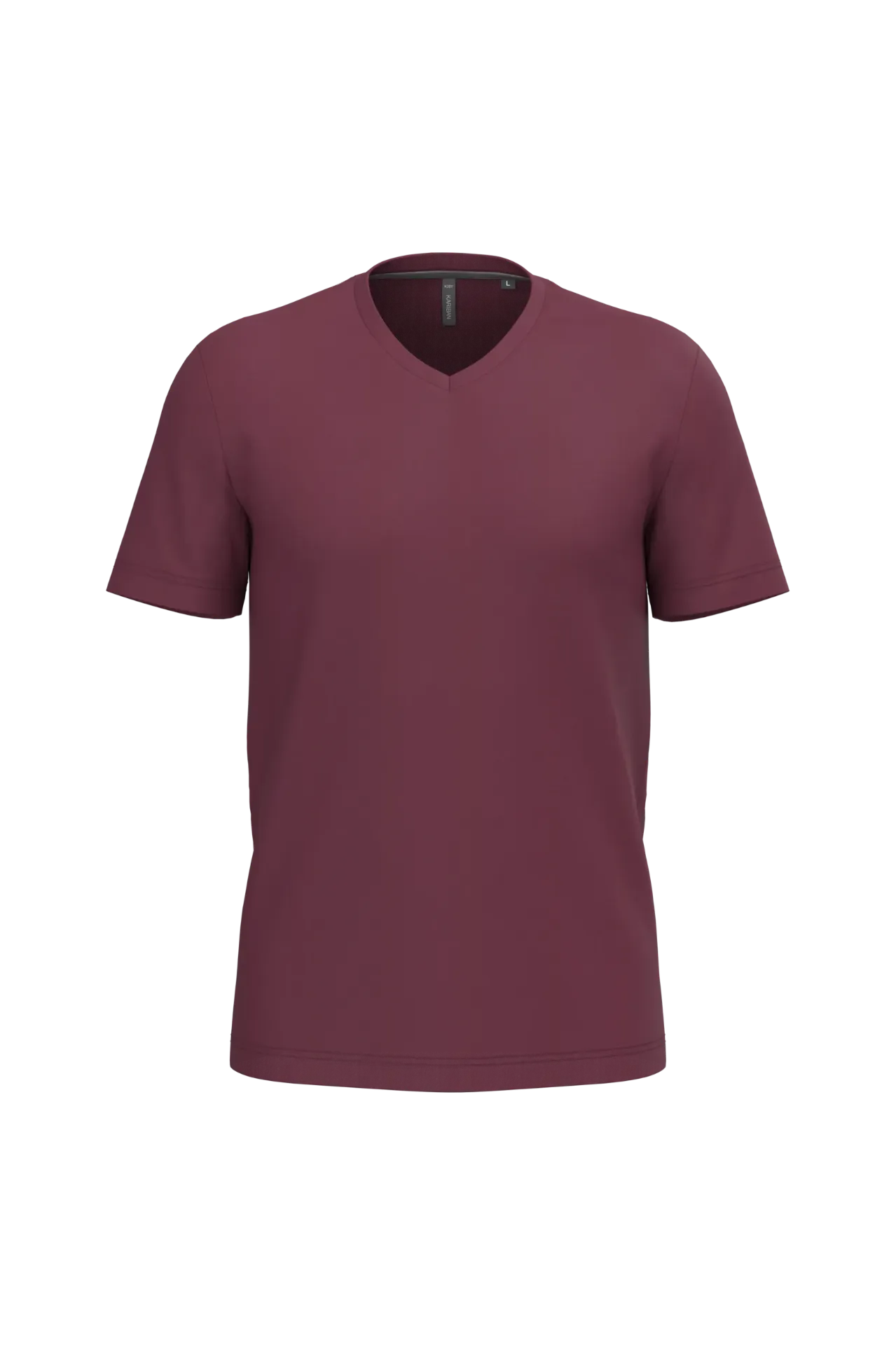 TARO-TEE-SHIRT HOMME (S, Bordeaux)